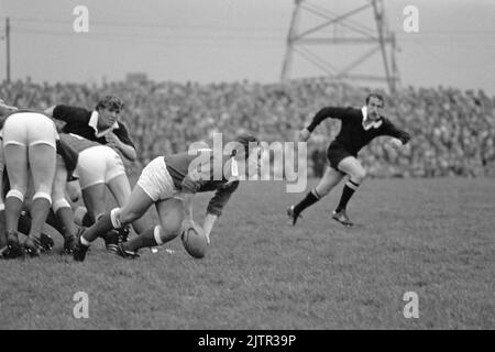 Llanelli RFC vs New Zealand All Blacks (31/10/72) - Stockfoto