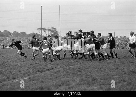 Llanelli RFC vs New Zealand All Blacks (31/10/72) - Stockfoto