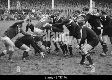 Llanelli RFC vs New Zealand All Blacks (31/10/72) - Action-Foto. Stockfoto