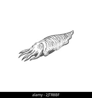 Tintenfische, nautilus mollusk isolierte Meeresfrüchte Produkt monochrome Symbol. Vector marine Unterwasser Tier, Schalentiere aquatischen Organismus. Nautilus pompilius Zeichnung, Tintenfisch Calamari Schalentiere Tintenfisch Stock Vektor