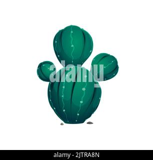 Mexikanischer Kaktus, botanisches Kraut mit Stacheln und Steinfelsen isoliert. Vector exotische marginata Sukkulente, Kaktus Agave vernachlässigen wilde Jahrhundert Pflanze Pelmeri americana mit abgerundeten verlassen Stock Vektor