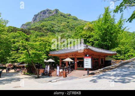 Jangseong-Gun, Jeollanam-do, Republik Korea - 4. Mai 2022 : Eine Landschaft eines traditionellen koreanischen Tempels. Baekyangsa traditioneller Tempel. Stockfoto