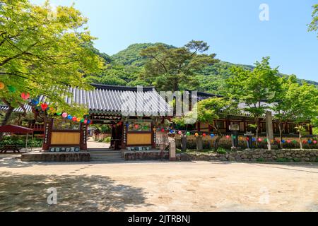 Jangseong-Gun, Jeollanam-do, Republik Korea - 4. Mai 2022 : Eine Landschaft eines traditionellen koreanischen Tempels. Baekyangsa traditioneller Tempel. Stockfoto