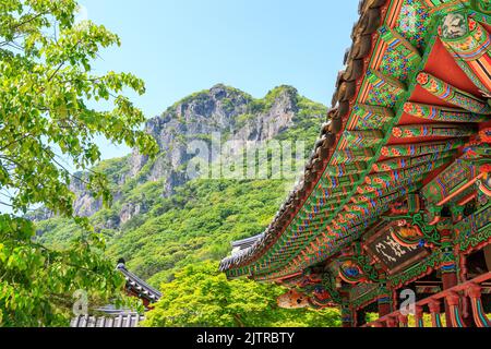 Jangseong-Gun, Jeollanam-do, Republik Korea - 4. Mai 2022 : Eine Landschaft eines traditionellen koreanischen Tempels. Baekyangsa traditioneller Tempel. Stockfoto