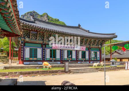 Jangseong-Gun, Jeollanam-do, Republik Korea - 4. Mai 2022 : Eine Landschaft eines traditionellen koreanischen Tempels. Baekyangsa traditioneller Tempel. Stockfoto