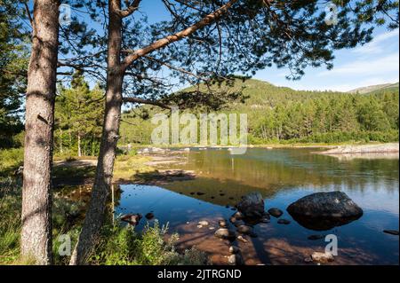 Berdalen, Gemeinde Bykle, Kreis Agder, Norwegen Stockfoto