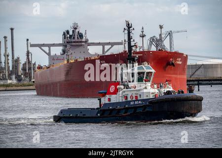 Petroleumhaven, Shell Terminal Europoort, Rohöltankfarm, Großtanks und Ladeterminals für Übersee- und Binnenschiffe, Europoort Bulk-Tanker Stockfoto