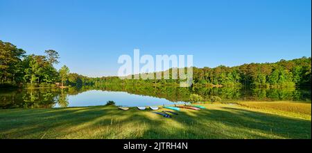 Sonniger Sommermorgen im Park Stockfoto