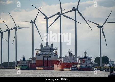 Petroleumhaven, Tanker warten auf Neuverladung im Hafen von Europoort, Windpark, Rotterdam, Niederlande, Stockfoto