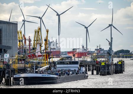 Petroleumhaven, Tanker warten auf Neuverladung im Hafen von Europoort, Windpark, Rotterdam, Niederlande, Stockfoto