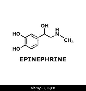 Adrenalin- oder Adrenalin-isoliertes Epinephrin-Neurotransmitter-Molekül. Vektor-Medikament bei der Behandlung von anaphylaxer Skelettformel. Hormonelle chemische Struktur, die von den Nebennieren, bestimmten Neuronen produziert wird Stock Vektor