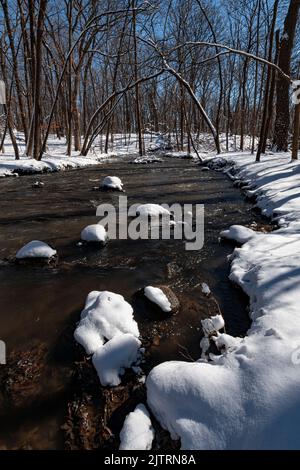 Hammel Creek fließt im Winter durch das Hammel Woods Forest Preserve, nach einer frischen Schneeschicht, will County, Illinois Stockfoto