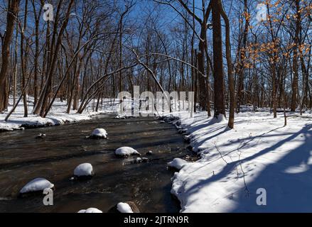 Hammel Creek fließt im Winter durch das Hammel Woods Forest Preserve, nach einem Schneesturm, will County, Illinois Stockfoto