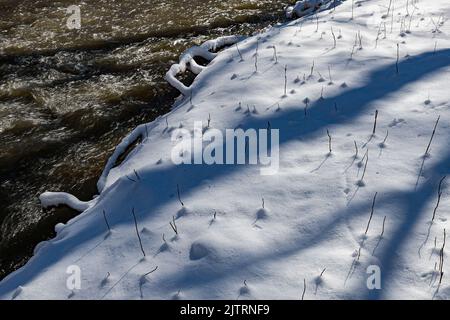 Eine frische Schneeschicht auf dem Waldboden neben dem fließenden Wasser von Hammel Creek, schafft eine Studie der Texturen, Hammel Woods Forest Preserve, Wil Stockfoto