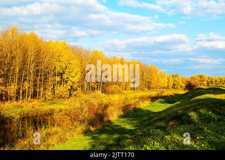 Herbstlandschaft, Herbstbäume am Ufer des Flusses, bunte Waldherbstlandschaft bei sonnigem Wetter Stockfoto