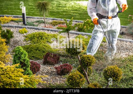 Professioneller Gärtner in Schutzoverall und Handschuhen, der Pestizide auf verschiedene Sträucher sprüht und im landschaftlich gestalteten Garten des Hinterhofs seines Kunden gespült wird. Stockfoto