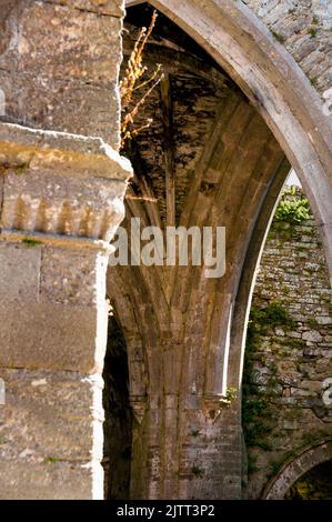 Details zum Jerpoint Abbey Monument im County Kilkenny, Irland. Stockfoto