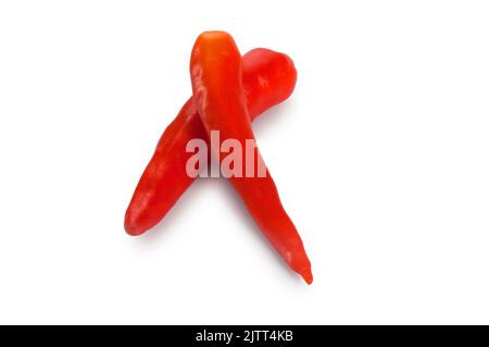 Studioaufnahme von roten Chilischoten, die vor einem weißen Hintergrund ausgeschnitten wurden - John Gollop Stockfoto
