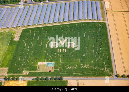 Luftaufnahme, BVB-Logo im Feld, Hof Mertin, Hostedde, Dortmund, Ruhrgebiet, Nordrhein-Westfalen, Deutschland, DE, Europa, Logo, Luftaufnahmen, vorbei Stockfoto