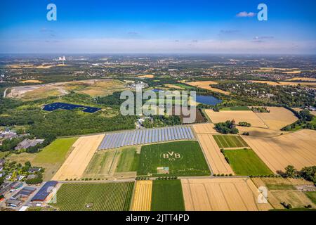 Luftaufnahme, BVB-Logo im Feld, Mertin-Hof in Hostedde, Dortmund, Ruhrgebiet, Nordrhein-Westfalen, Deutschland, DE, Europa, Logo, Luftfotografie, O Stockfoto