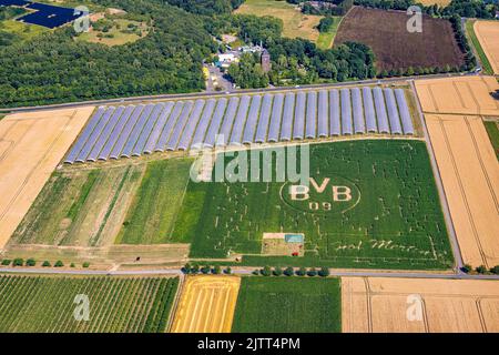 Luftaufnahme, BVB-Logo im Feld, Mertin-Hof, Hostedde, Dortmund, Ruhrgebiet, Nordrhein-Westfalen, Deutschland, DE, Europa, Logo, Luftaufnahmen, Ove Stockfoto