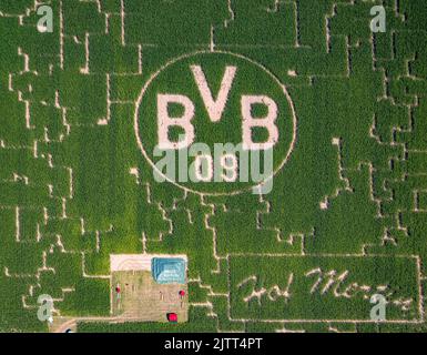 Luftaufnahme, BVB-Logo im Feld, Mertin-Hof, Hostedde, Dortmund, Ruhrgebiet, Nordrhein-Westfalen, Deutschland, DE, Europa, Logo, Luftaufnahmen, Ove Stockfoto