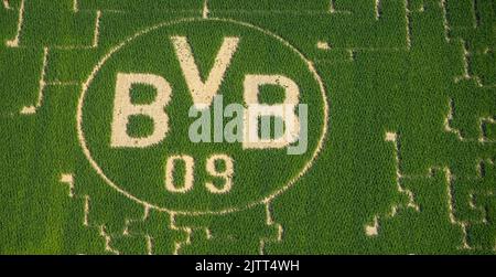 Luftaufnahme, BVB-Logo im Feld, Mertin-Hof, Hostedde, Dortmund, Ruhrgebiet, Nordrhein-Westfalen, Deutschland, DE, Europa, Logo, Luftaufnahmen, Ove Stockfoto