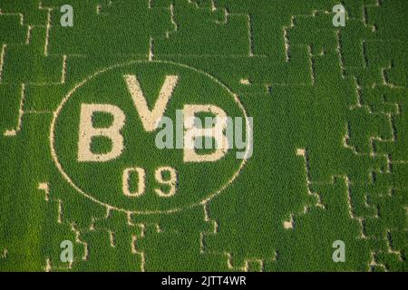 Luftaufnahme, BVB-Logo im Feld, Mertin-Hof, Hostedde, Dortmund, Ruhrgebiet, Nordrhein-Westfalen, Deutschland, DE, Europa, Logo, Luftaufnahmen, Ove Stockfoto