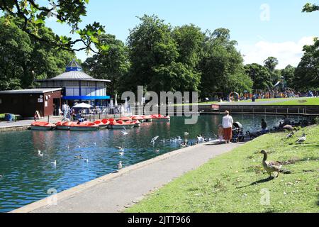 Der Bootssee im Lister Park, dem größten Park von Bradford, und im Manningham-Gebiet der Stadt in West Yorkshire, Großbritannien Stockfoto