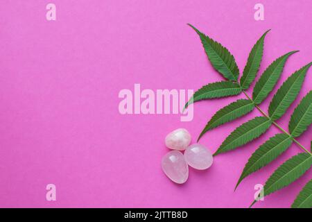 Schöne runde Rosenquarzsteine mit grünen Blättern auf einem rosa Hintergrund. Heilende Kristalle. Platz zum Kopieren, flach liegend, Draufsicht. Stockfoto