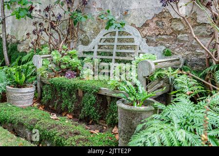 Nahaufnahme einer alten verzierten Holzbank, die von grüner Vegetation und Pflanzen überwuchert ist Stockfoto