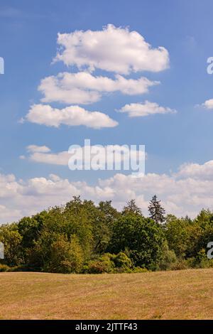 Grüne Natur mit Sträuchern und Bäumen vor einer schönen Wolkenformation, Deutschland Stockfoto