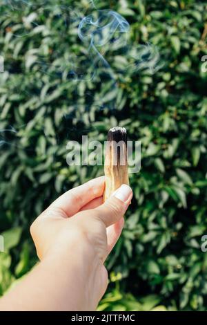 Begasungsritualprozess. Frau hält schwelenden palo santo Stick mit Rauch gegen natürliche grüne Blätter Hintergrund mit Kopierraum. Brennendes palo Stockfoto