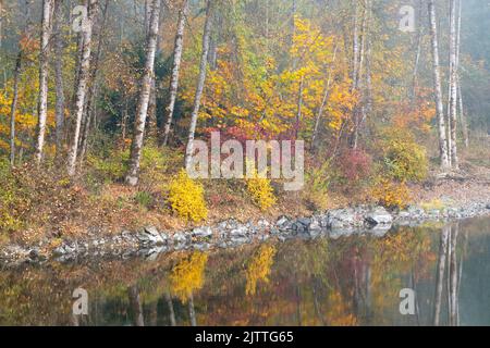 Nebliger Morgen am Flussufer im Herbst im Bundesstaat Western Washington Stockfoto