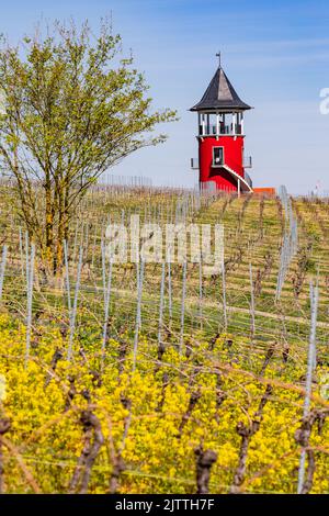 Der Burgundenturm in Rheinhessen ist ein Aussichtsturm inmitten von Weinbergen Stockfoto