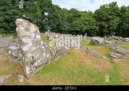 DIN Lligwy uralte Steinruinensiedlung in der Nähe von Moelfre, Isle of Anglesey, Ynys Mon, North Wales, Großbritannien. Stockfoto