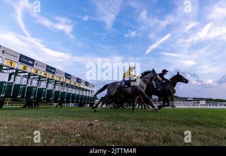 Haunted Dream unter Jockey Luke Morris (links) und Wootton'Sun unter Jockey Harrison Shaw (rechts) beim Start der William Hill Build Your Odds Racing League R28 während des Rennwochentreffens der Racing League 2022 Race Week 4 auf der Royal Windsor Racecourse, Berkshire. Bilddatum: Donnerstag, 1. September 2022. Stockfoto