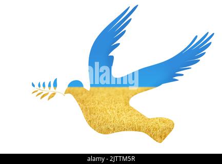 Dove of Peace Silhouette in ukrainischen Flaggen Farben Stockfoto