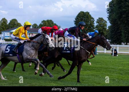 Haunted Dream unter Jockey Luke Morris (links) und Wootton'Sun unter Jockey Harrison Shaw (rechts) beim Start der William Hill Build Your Odds Racing League R28 während des Rennwochentreffens der Racing League 2022 Race Week 4 auf der Royal Windsor Racecourse, Berkshire. Bilddatum: Donnerstag, 1. September 2022. Stockfoto