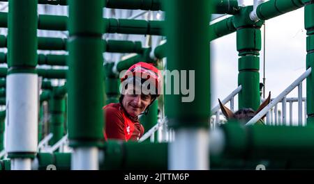 Old Port von Jockey Adam Kirby in den Starttoren vor der William Hill Build Your Odds Racing League R28 während der Racing League 2022 Race Week 4 Treffen auf der Royal Windsor Racecourse, Berkshire geritten. Bilddatum: Donnerstag, 1. September 2022. Stockfoto