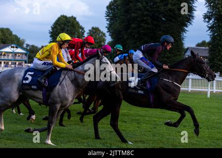 Haunted Dream unter Jockey Luke Morris (links) und Wootton'Sun unter Jockey Harrison Shaw (rechts) beim Start der William Hill Build Your Odds Racing League R28 während des Rennwochentreffens der Racing League 2022 Race Week 4 auf der Royal Windsor Racecourse, Berkshire. Bilddatum: Donnerstag, 1. September 2022. Stockfoto