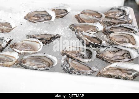 Frisch geöffnete, eiweißreiche Auster auf zerkleinertem Eis im Fischrestaurant oder auf dem Markt. Selektiver Fokus. Gesundes Gourmet-Essen mit Mineralien. Natürliche Aphrodis Stockfoto