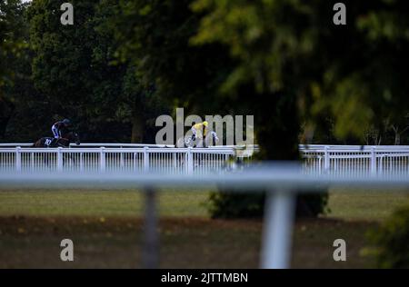 Wootton'Sun unter Jockey Harrison Shaw (links) und Haunted Dream unter Jockey Luke Morris (rechts) nach der William Hill Build Your Odds Racing League R28 während der Racing League 2022 Race Week 4 auf der Royal Windsor Racecourse, Berkshire. Bilddatum: Donnerstag, 1. September 2022. Stockfoto