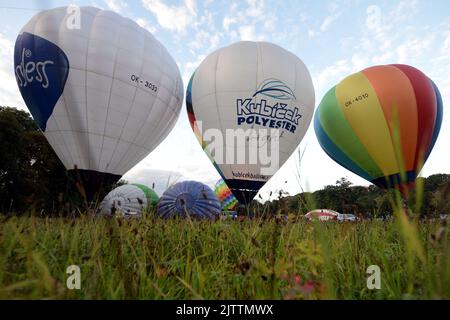 Ceska Skalice, Tschechische Republik. 1. September 2022. Ballonfahrer aus der Tschechischen Republik treffen sich bei der größten Ballonveranstaltung in diesem Jahr in der Tschechischen Republik. Eine Sammlung von 29 Heißluftballons, die in der tschechischen Stadt Ceska Skalice bei Nachod (150 Kilometer nördlich von Prag) teilnehmen. (Bild: © Slavek Ruta/ZUMA Press Wire) Stockfoto