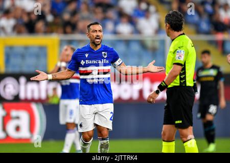 Fabio Quagliarella von UC Sampdoria reagiert während des Spiels der Serie A 2022/23 zwischen UC Sampdoria und SS Lazio im Luigi Ferraris Stadium am 31. August 2 Stockfoto