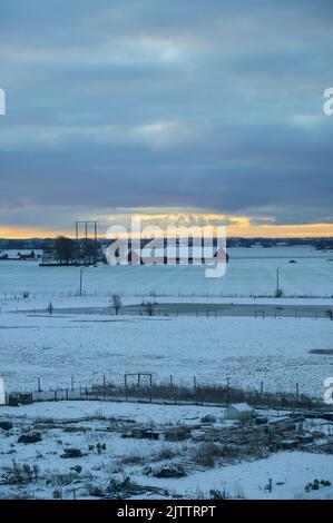 Schneebedeckte Scheune auf dem Bauernhof in flachen Feldern von Skåne (Scania) Schweden im Winter Stockfoto
