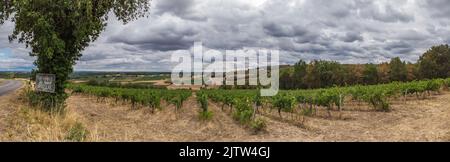 Vue panoramique sur les vignobles de Gaillac en été sous un ciel gris Stockfoto