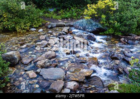Bach, der aus nächster Nähe durch ein Bergtal fließt. Aufnahme auf dem Weg zum Mount Harvard in Colorado. Stockfoto