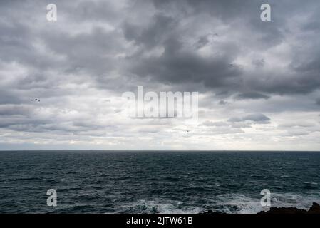 Dramatische Wolken vom Meer vor dem Sturm, Blick vom Strand, Textbereich Stockfoto