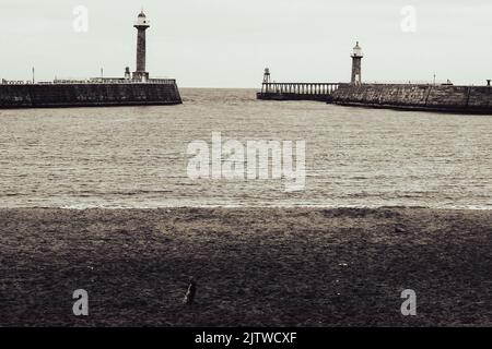 Schwarzweißbild des Hafens von Whitby Stockfoto